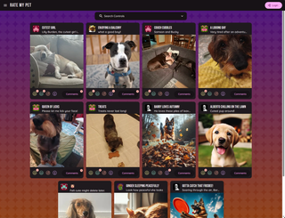 Screenshot of Rate My Pet project